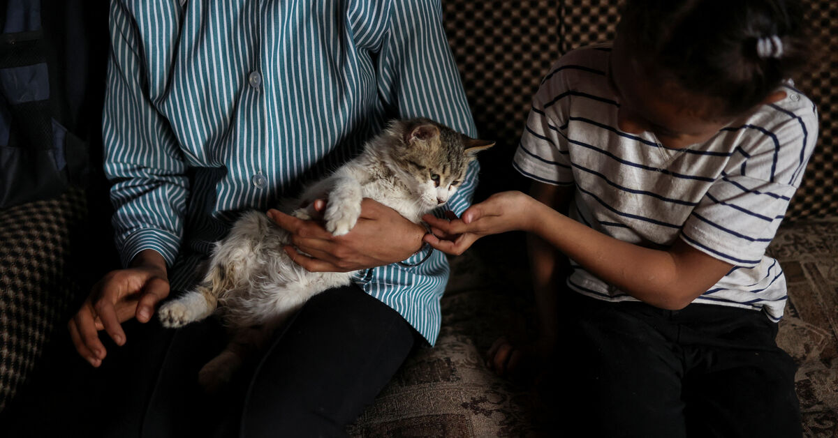 اللاجئون الفلسطينيون وصواريخ إيرانية تهدد حياتهم