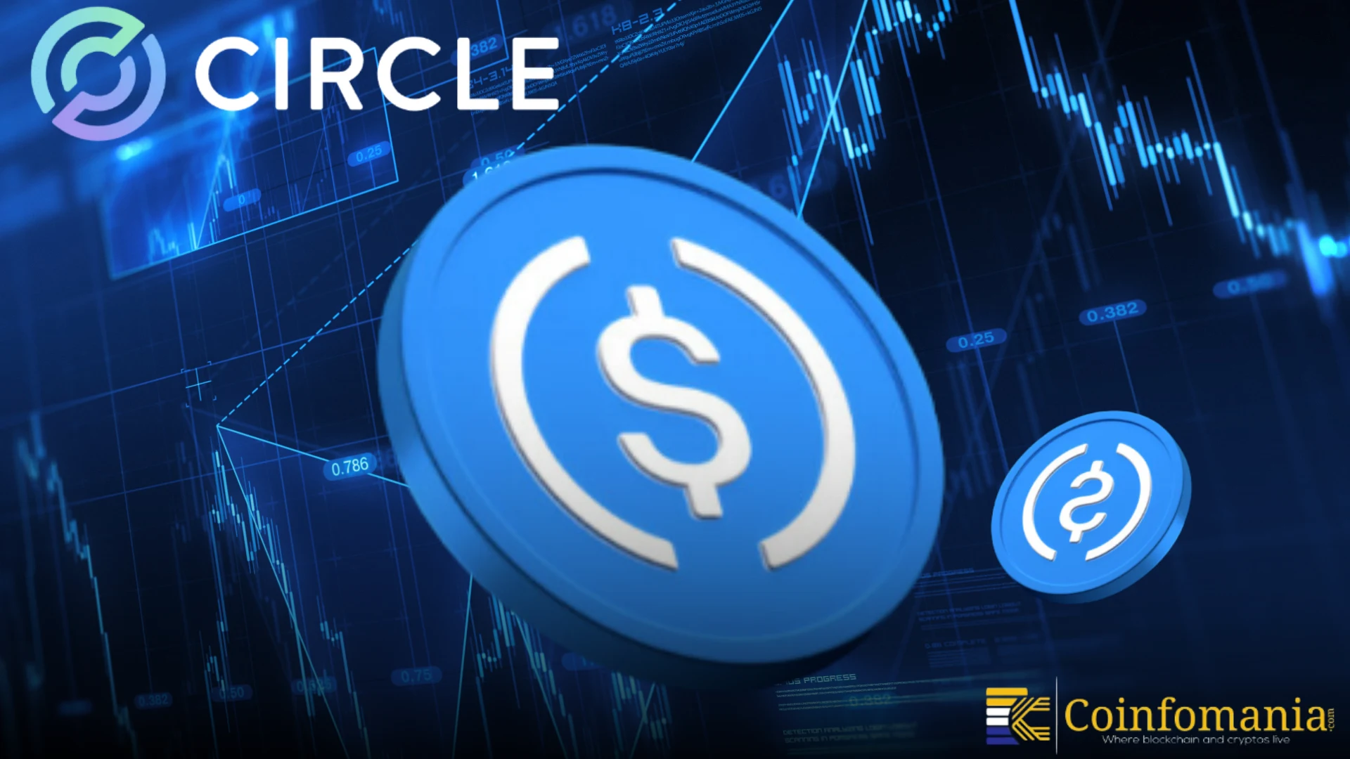 Circle shares plunge due to potential regulatory changes