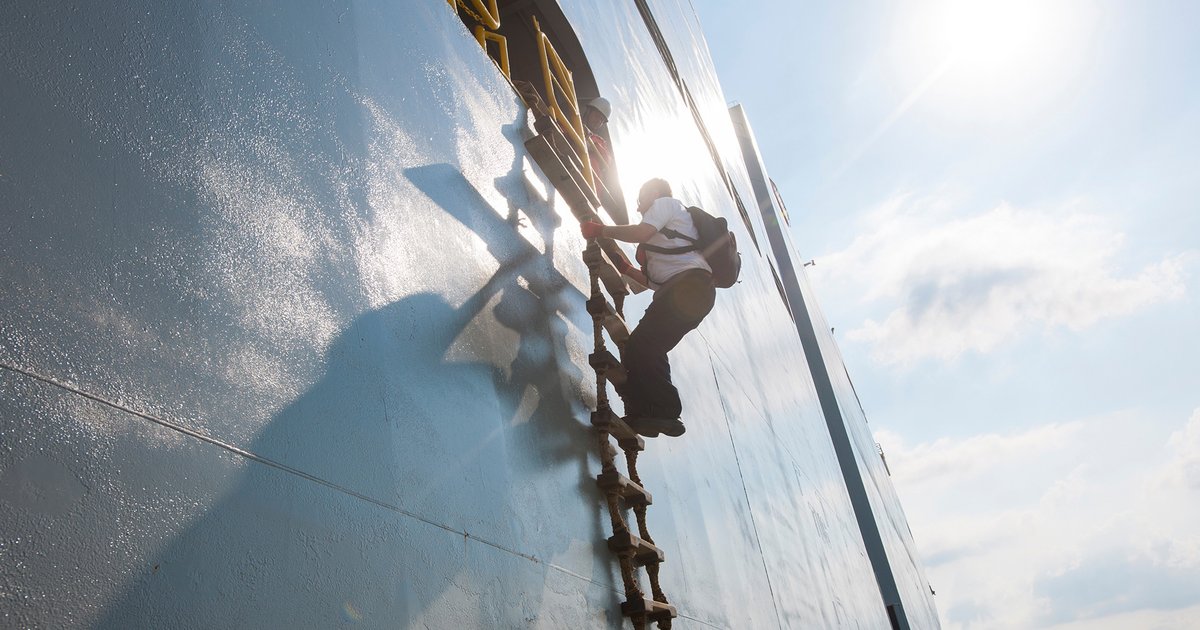 موانئ أبوظبي تحقق إيرادات قياسية في 2025