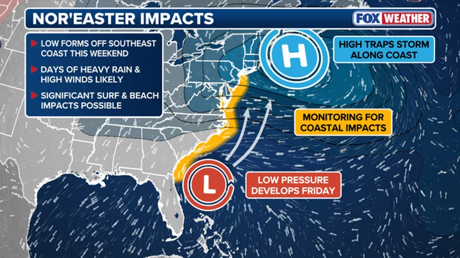 تحليل شامل لأحداث نهاية الأسبوع من نيويورك