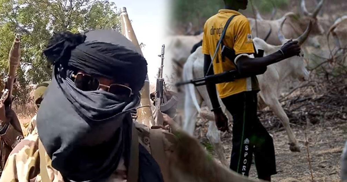 L'armée nigériane tue 65 membres de gangs lors d'une opération