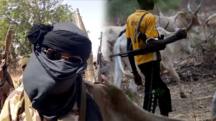 الجيش النيجيري يقتل 65 من العصابات في عملية عسكرية