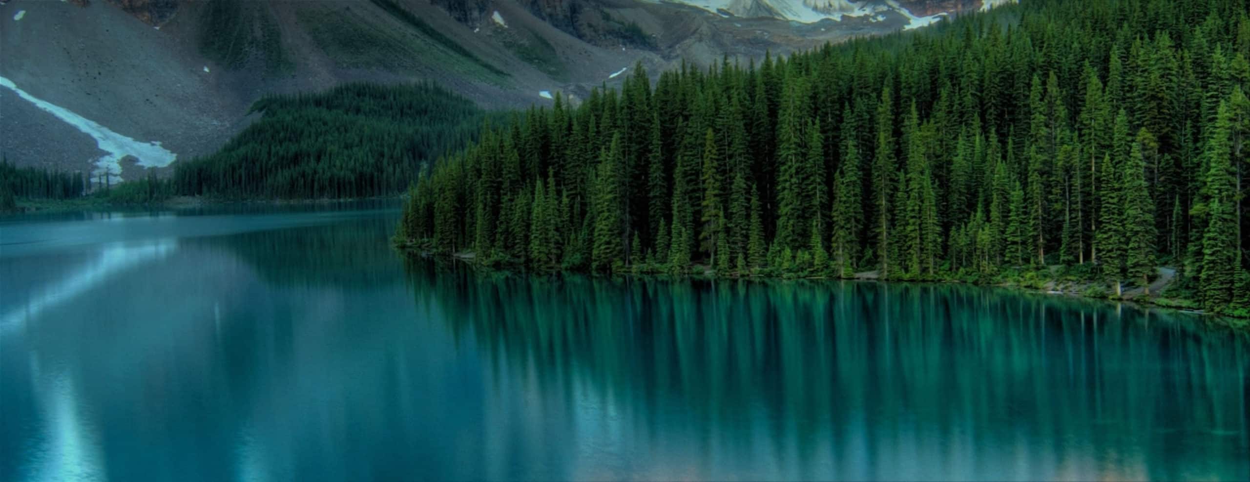 La Mecque mène 90 000 opérations de lutte contre les nuisibles