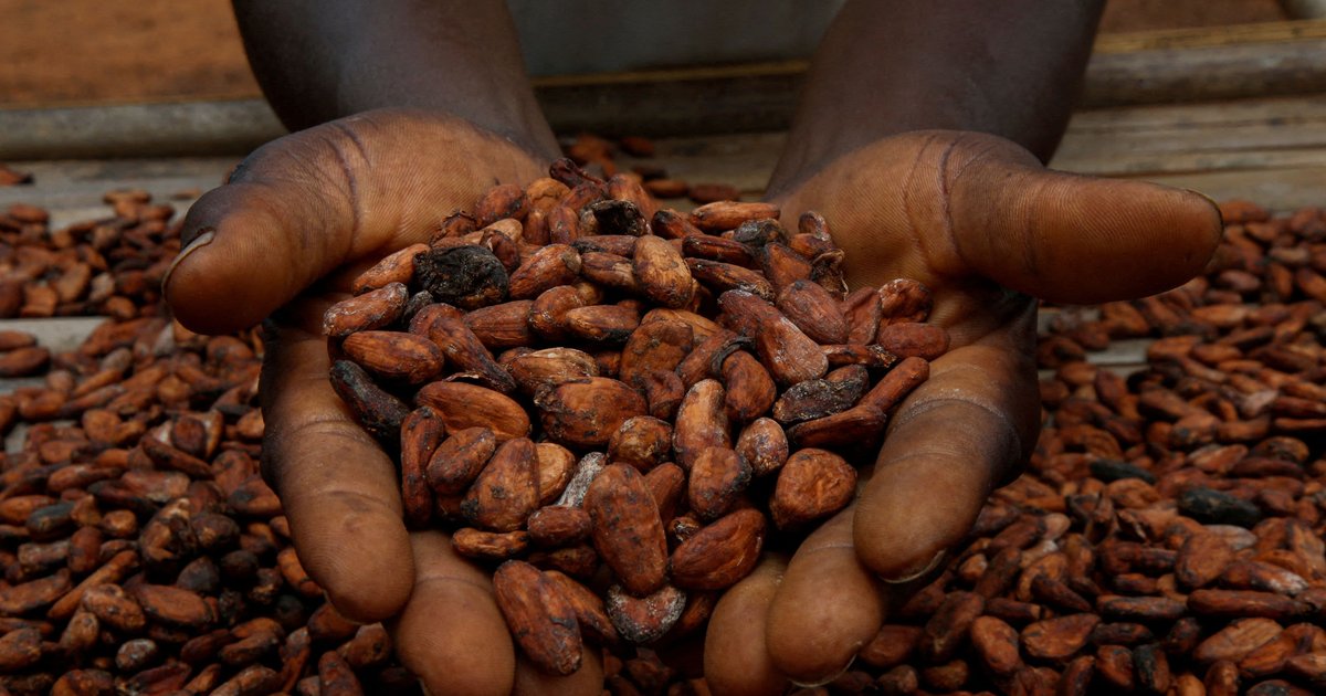 Cocoa Prices Decline in Indonesia - April 2026
