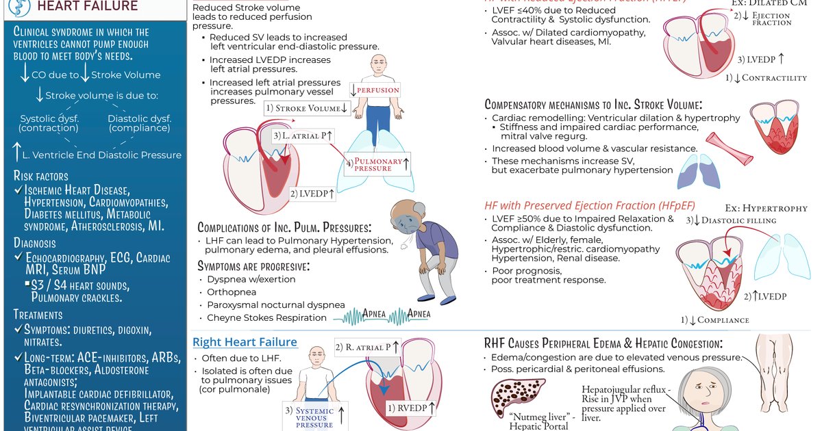 Excess Sodium Increases Heart Failure Risk