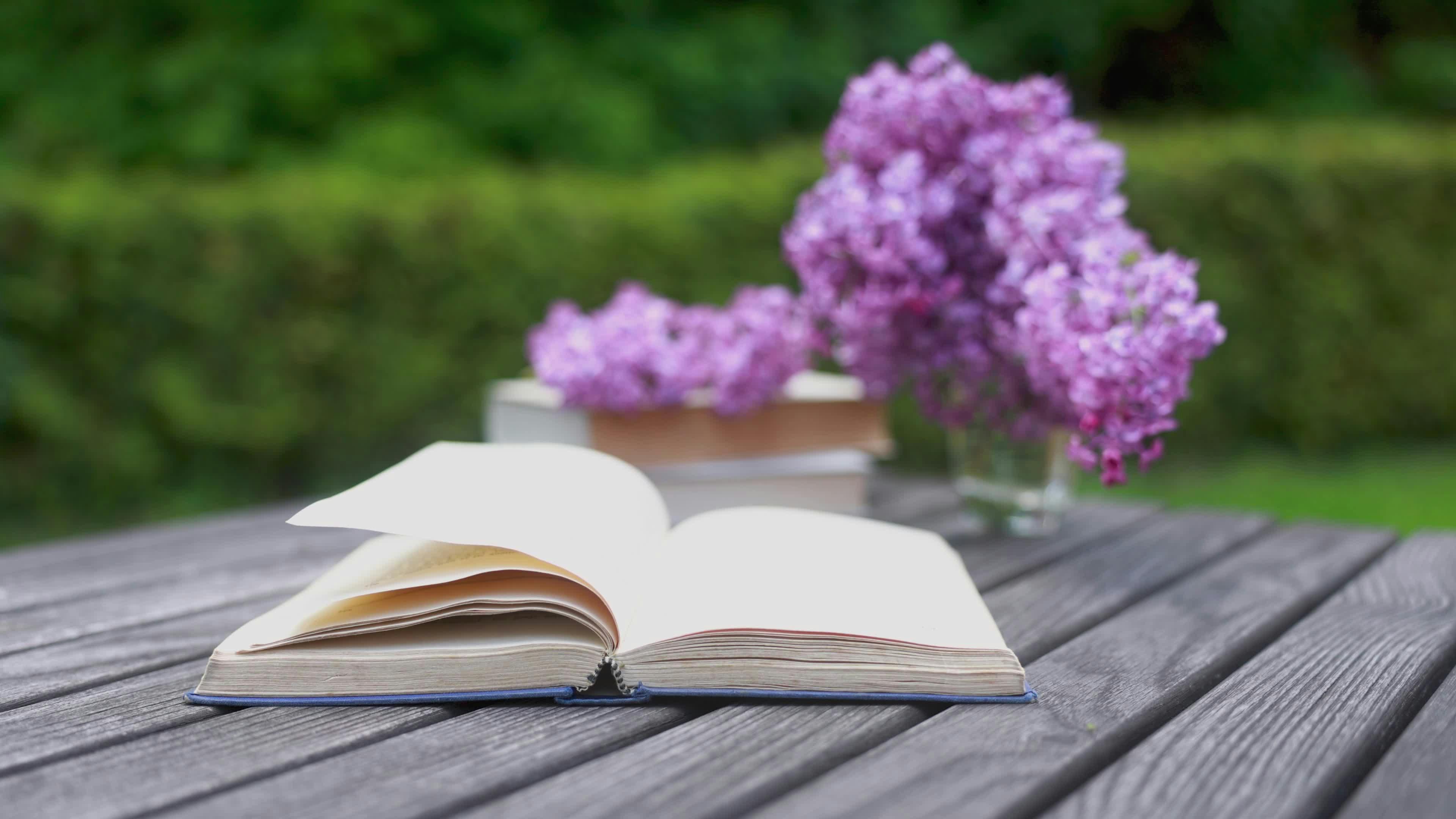 الإمارات: تزايد القراءة الرقمية بين المقيمين