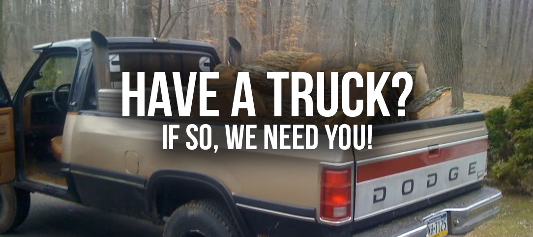 Bürger wegen illegalem Holztransport in Medina festgenommen