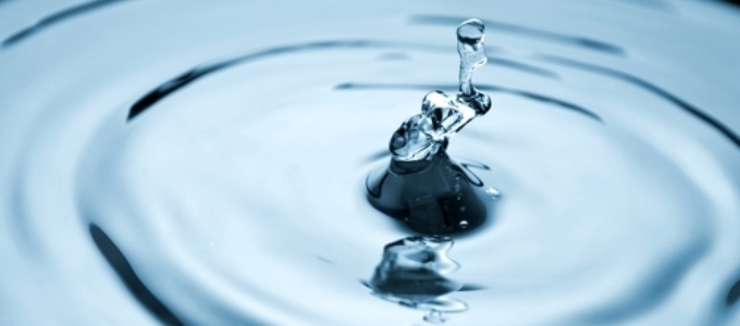 الفجوة الغذائية وتأثيرها على الأمن الغذائي في العالم العربي