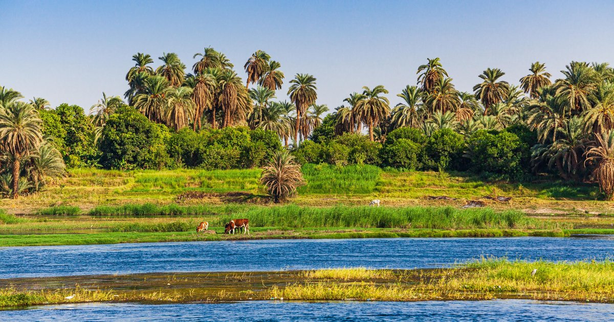 Campeonato Nacional de Tenis en Minya con 138 jugadores