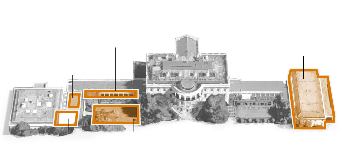 White House Renovations and the Golden Toilet Debate