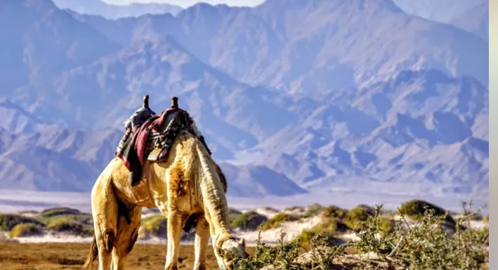 مصر تعزز السياحة البيئية بتطوير محميات سيناء