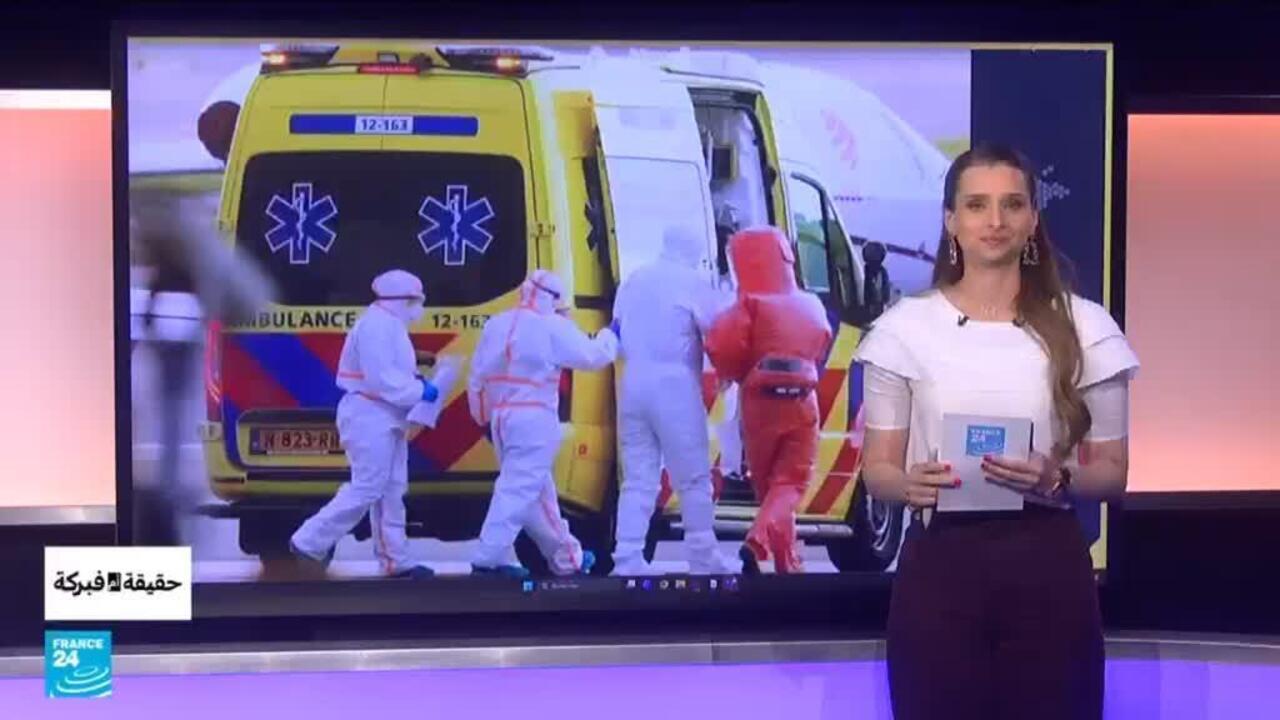 فيروس هانتا: هل تعمل فايزر على لقاح جديد؟