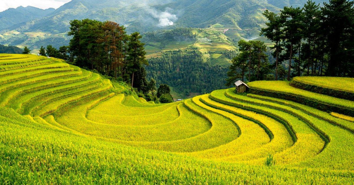 Réussir la saison des cultures d'hiver à Assouan