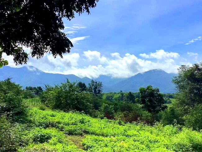 خفض الإضاءة في تايلاند لتوفير الطاقة