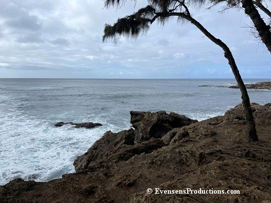 Critique de la lente réaction de Honolulu face aux inondations