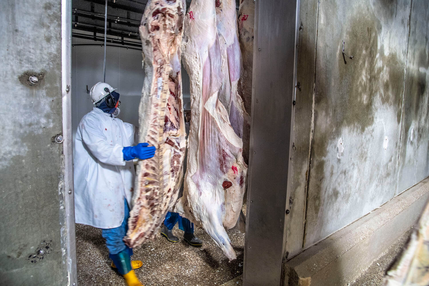 US-Fleischarbeiter beenden Streik und setzen Verhandlungen fort