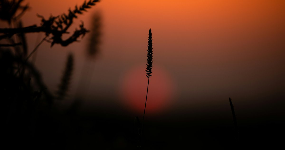 Réservations de dernière minute pour l'été 2026