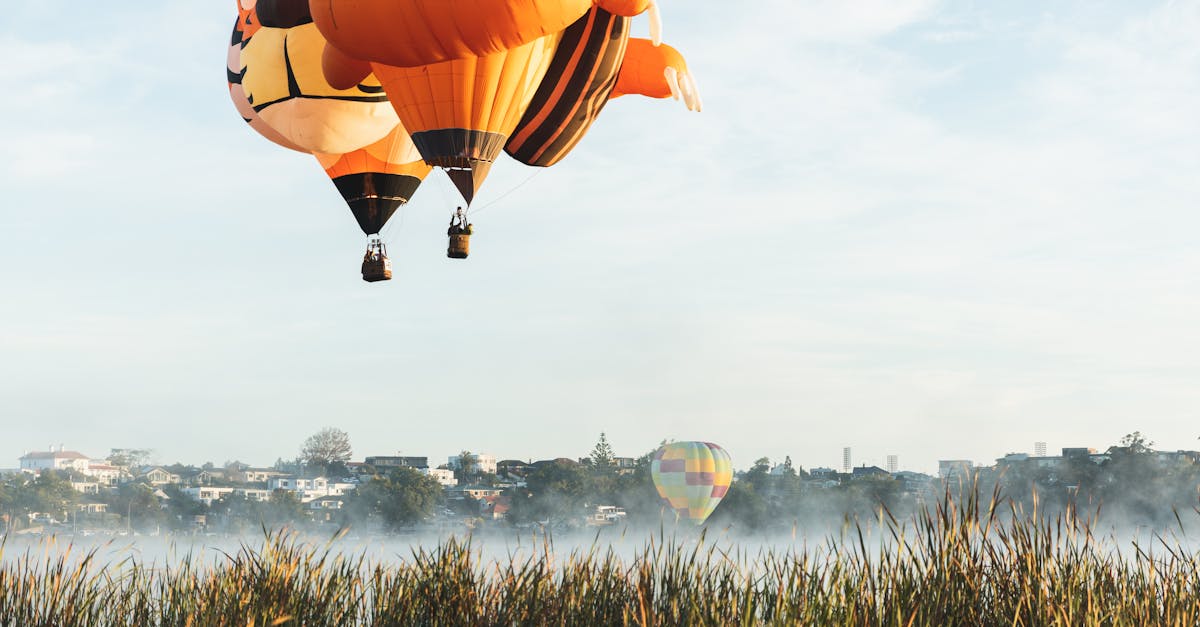 Ballonfestival in Ponorogo – Kultur und Tourismus