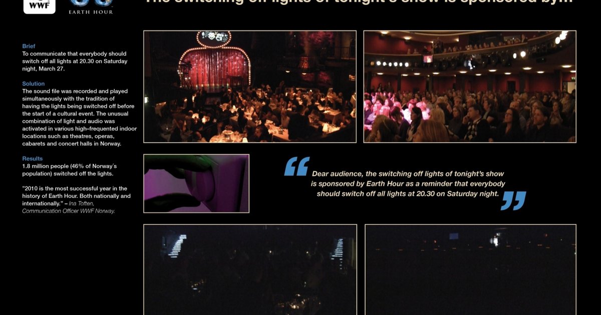 Weiße Chrysantheme: Neues Umweltsymbol in der arabischen Welt