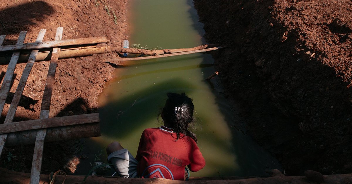 Campagne agricole à Jakarta pour renforcer la sécurité alimentaire