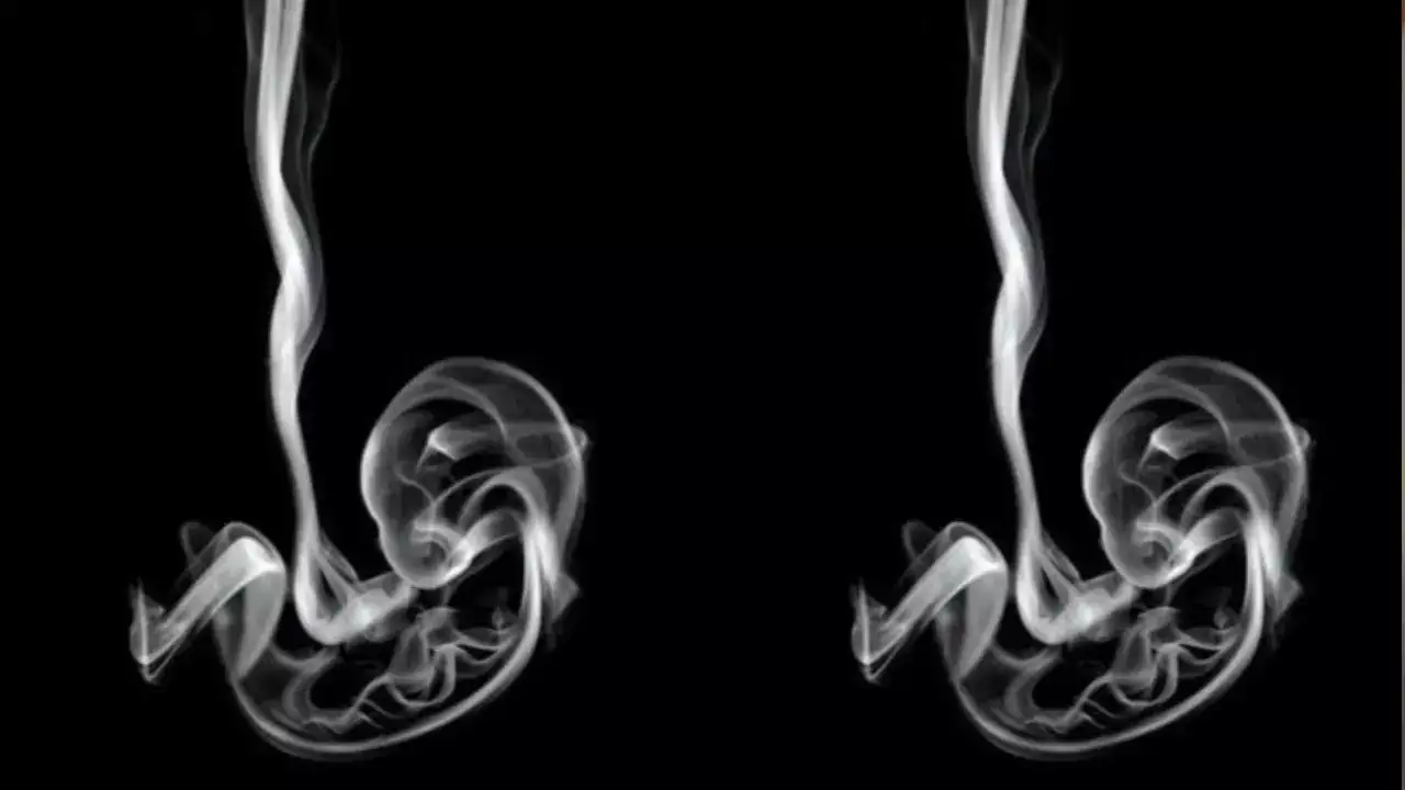 Test de personnalité : fœtus ou fumée ?