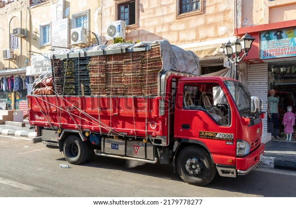 Tomato Prices in Egypt: Surge and Expected Drop
