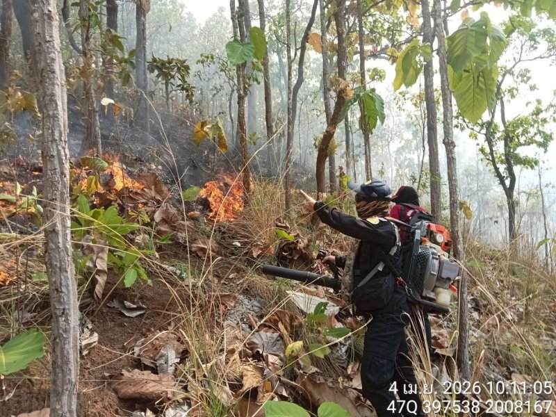Forest Fires in Mae Hong Son Threaten Public Health