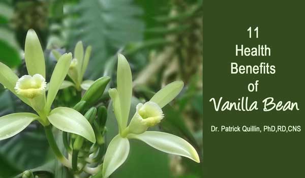 فوائد صحية للفانيليا تعزز الصحة العامة