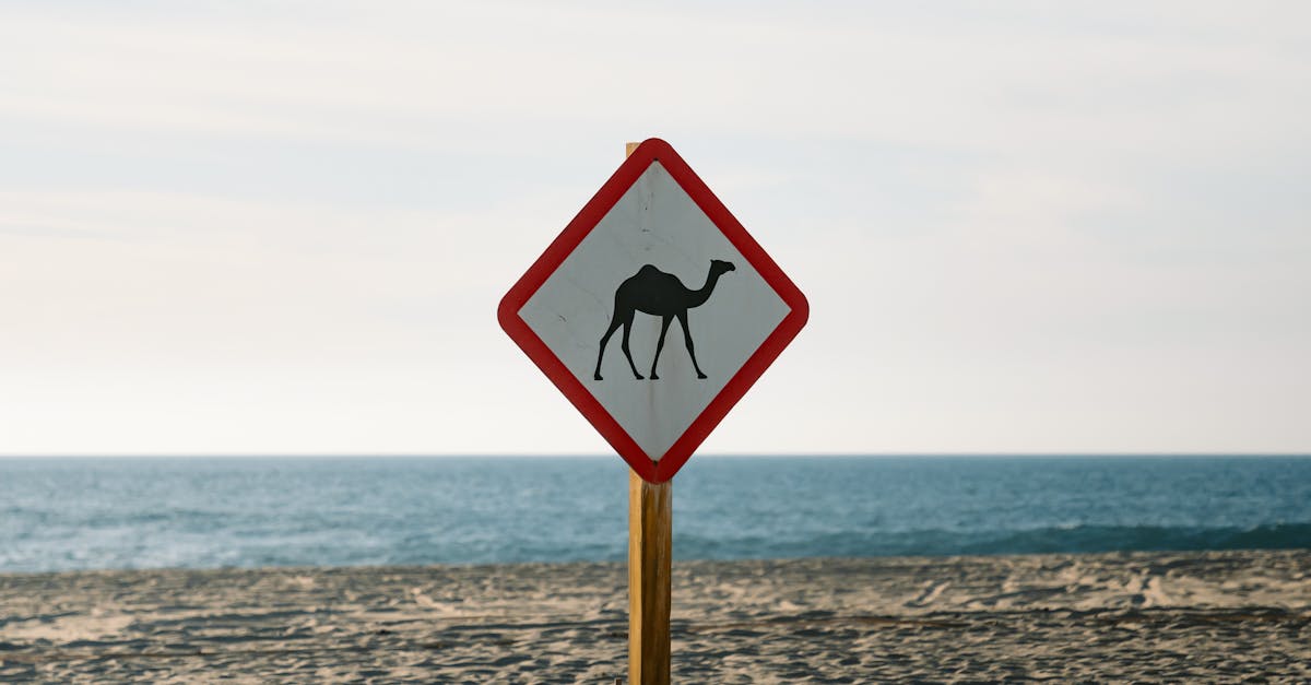 تحذيرات الحوثيين من حرب إقليمية بسبب التصعيد الإسرائيلي