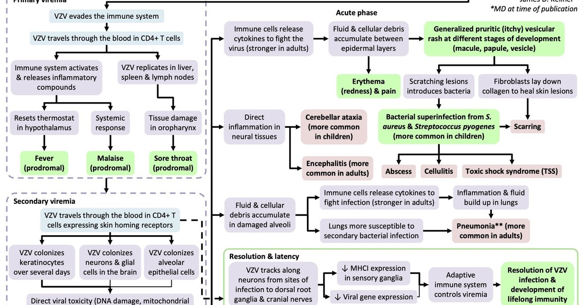 تحذيرات من الهربس النطاقي بعد جدري الماء في إندونيسيا
