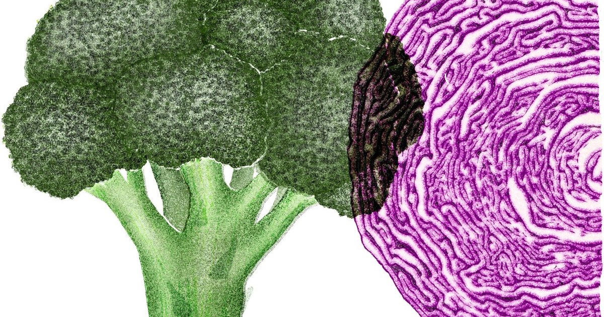 Meyvə və tərəvəzlərin xərçəngdən qorunmadakı təsiri