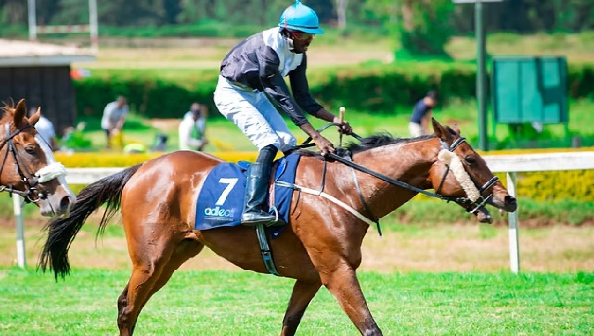 مهرجان كأس جلالة الملك المعظم للخيل 2023