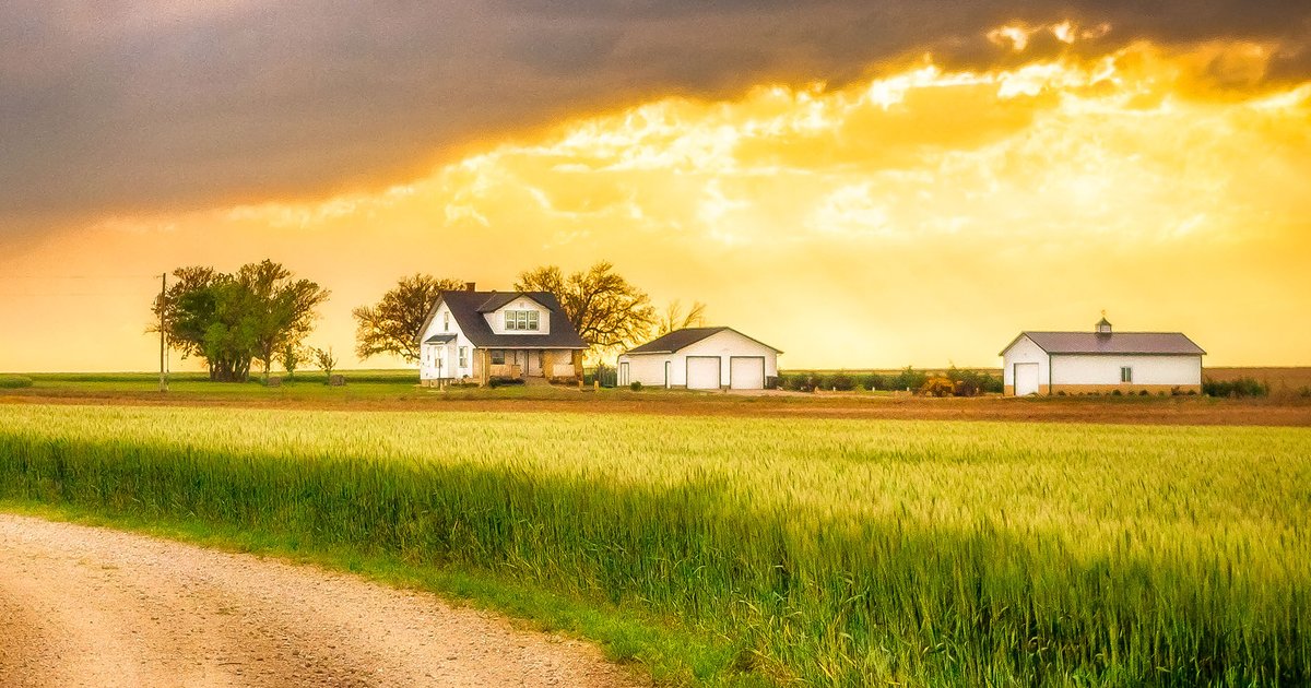 تأثير الأمطار على أسعار القمح في الولايات المتحدة