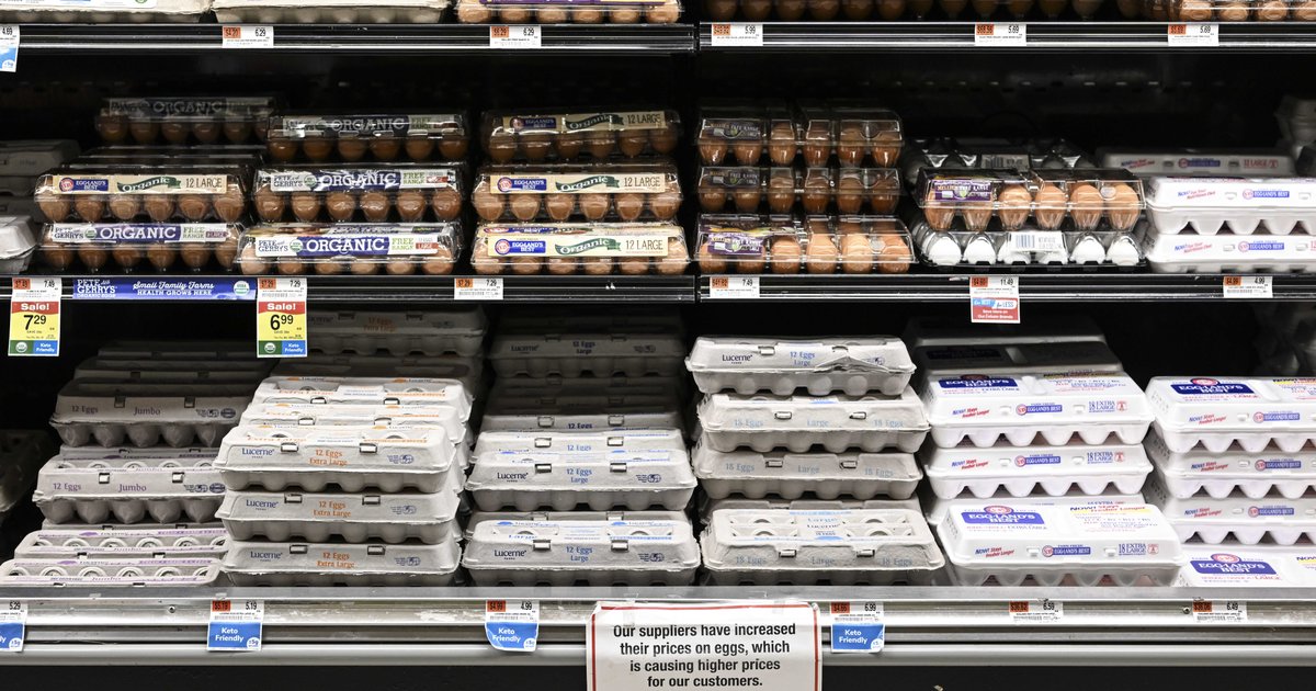 Preise für Eier und Hühner in Luxor am 30. März 2026