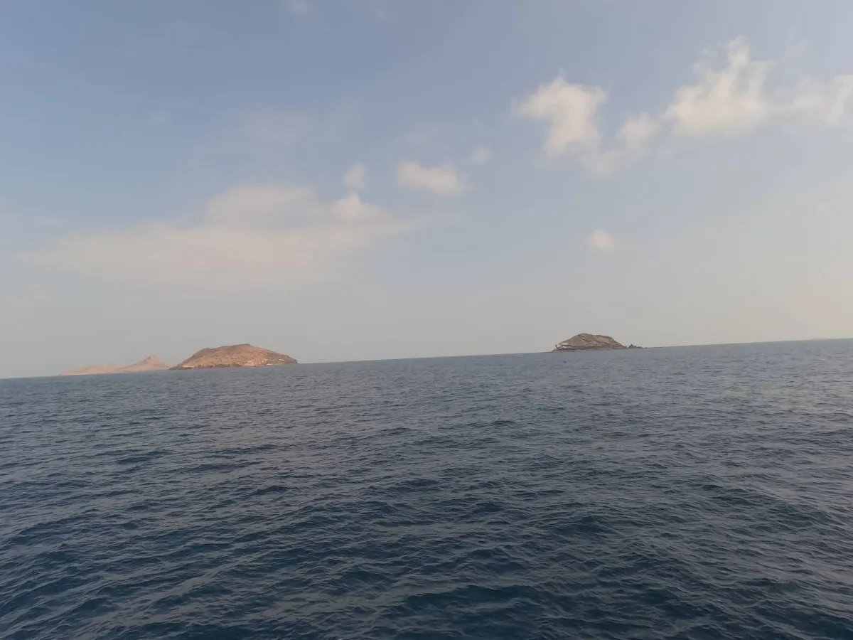 نفي محاولات إنزال طائرة في جزيرة ميون اليمنية