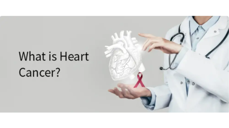 لماذا لا يصيب مرض السرطان القلب؟
