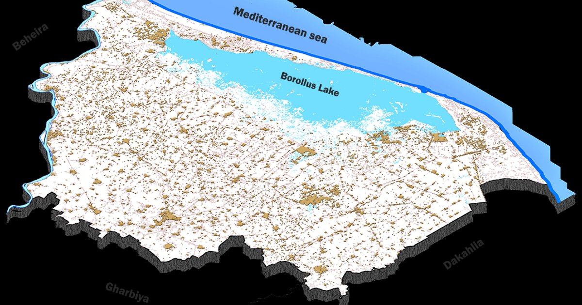حصاد البنجر في كفر الشيخ: نجاحات مزارعين