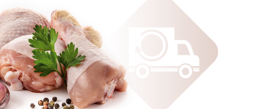 زيادة صادرات الدواجن وتأثيرها على الأسعار المحلية