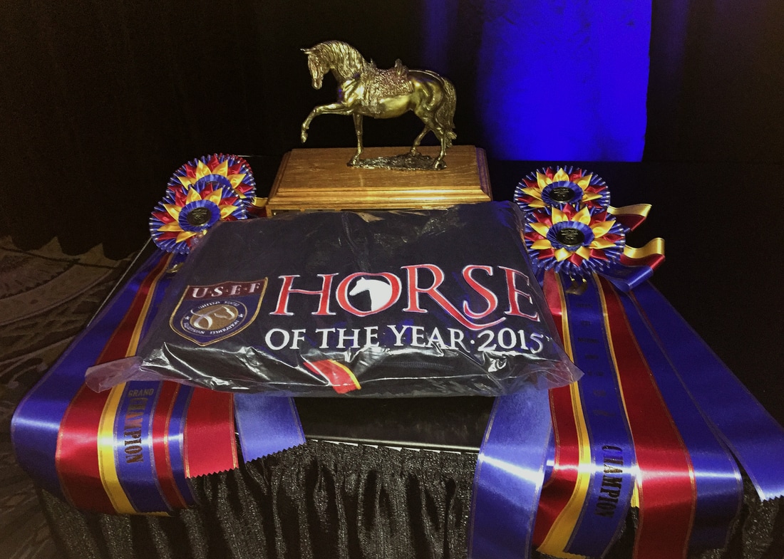 Erfolge von Scharaf Al-Hariri im Pferdesport