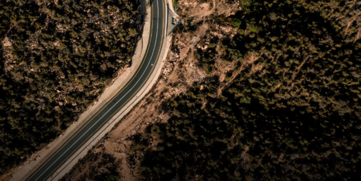 السعودية تعلن عن خطة استثمارية لتعزيز الاستدامة البيئية