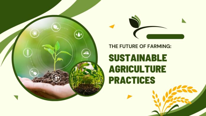 استدامة الغذاء: ضرورة ملحة لمواجهة التحديات