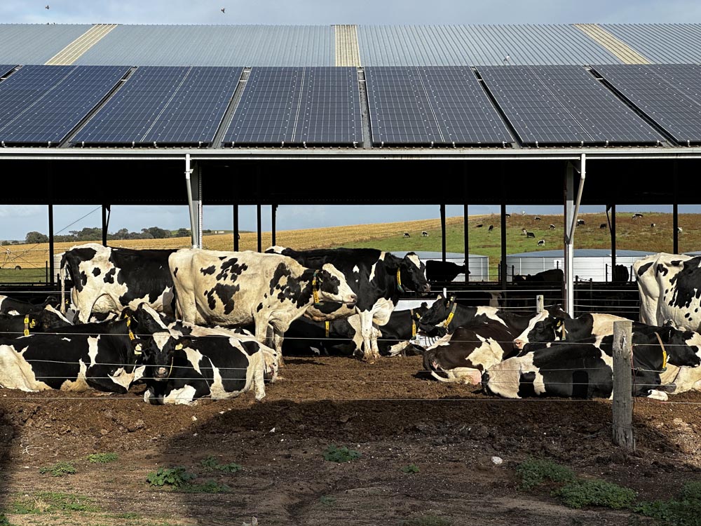 Jordan Confirms Energy Supply Stability Amid Challenges