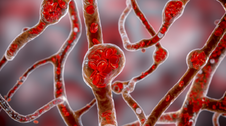 فوائد مركب طبيعي في التوابل لصحة القلب