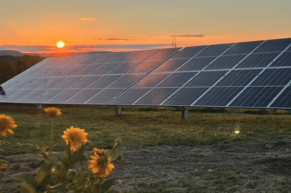 إنجازات الأردن في الصحة والطاقة مع تحديات بيئية