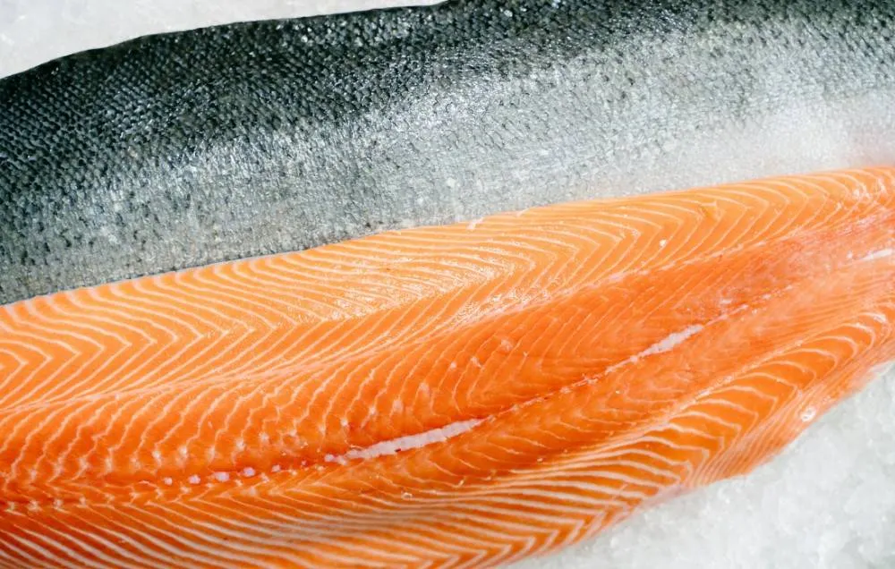 Proteinreiche Lebensmittel übertreffen Eier