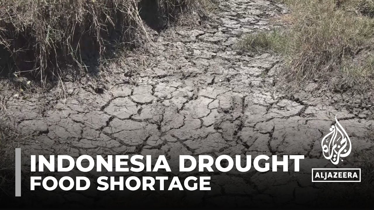 L'Indonésie face à de nouveaux défis alimentaires