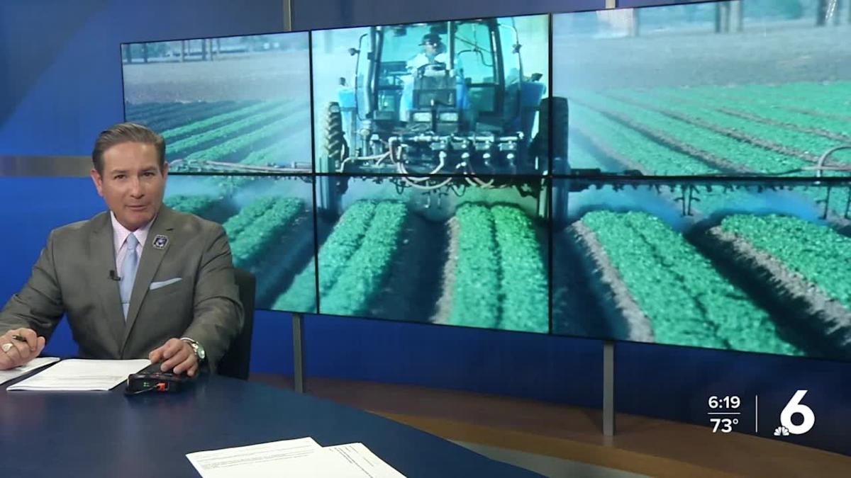 ضبط أسعار المبيدات الزراعية في إندونيسيا