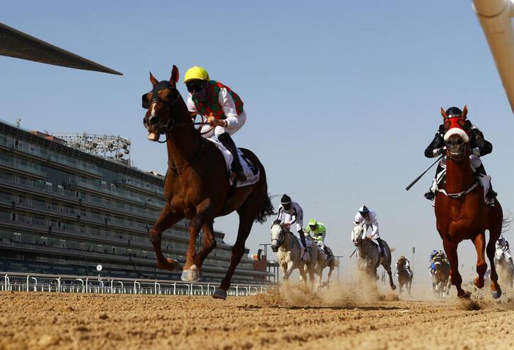 La jument "Mkhifa" brille lors du Derby d'Al Ain