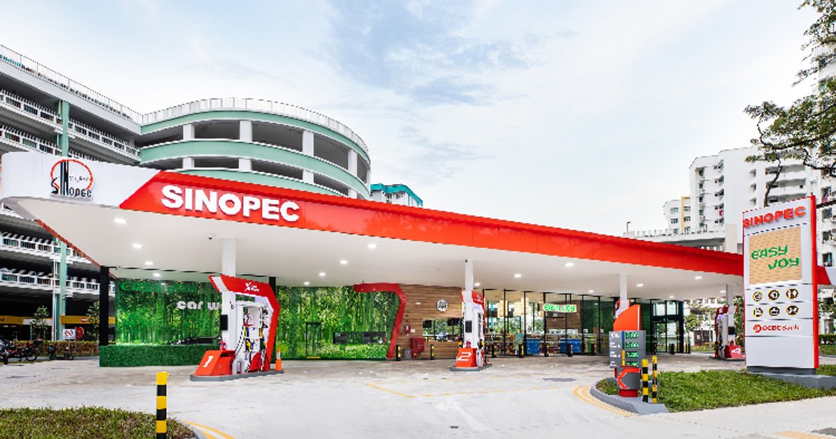 Çinli Sinopk'in Kar Düşüşü 2025