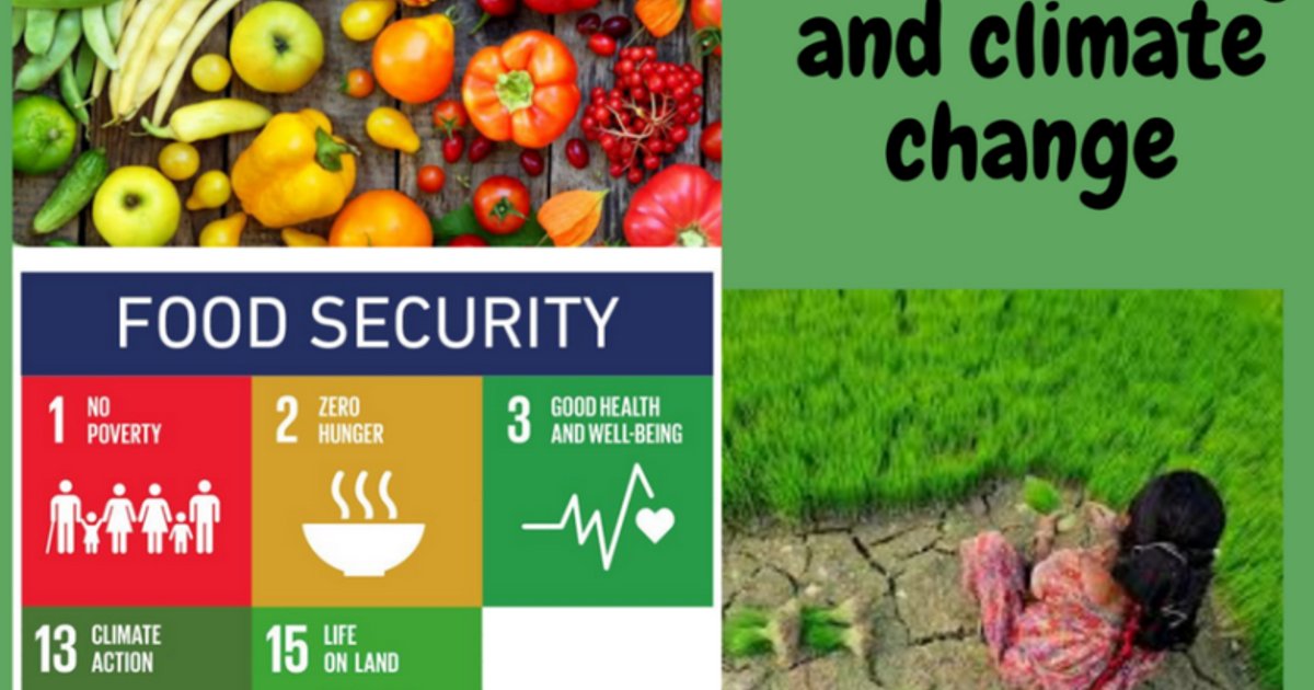 Indonesia Strengthens Food Reserves for Climate Change